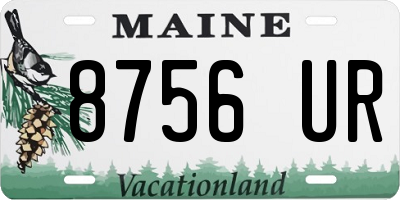 ME license plate 8756UR
