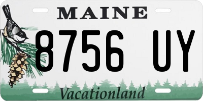 ME license plate 8756UY