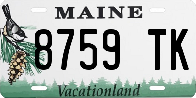 ME license plate 8759TK