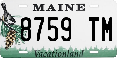 ME license plate 8759TM