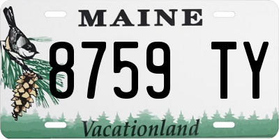 ME license plate 8759TY