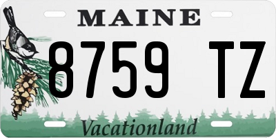 ME license plate 8759TZ
