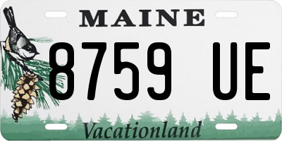 ME license plate 8759UE