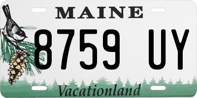 ME license plate 8759UY