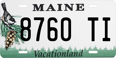 ME license plate 8760TI