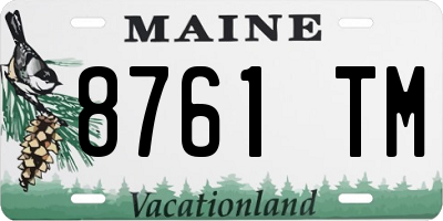 ME license plate 8761TM