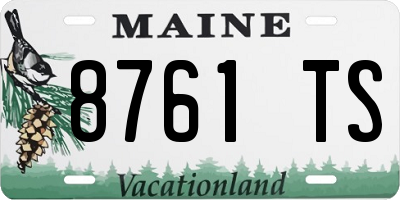ME license plate 8761TS