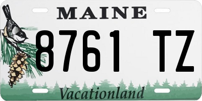 ME license plate 8761TZ