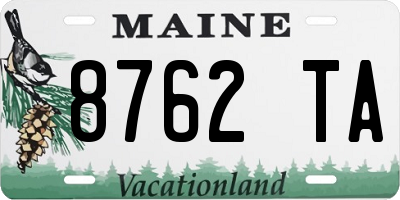 ME license plate 8762TA