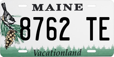 ME license plate 8762TE