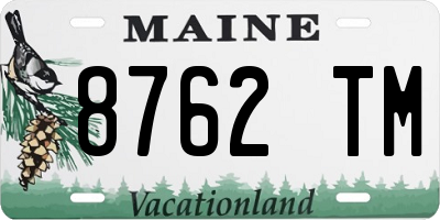 ME license plate 8762TM