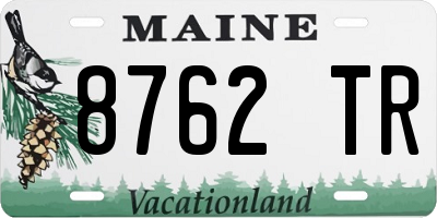 ME license plate 8762TR