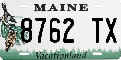 ME license plate 8762TX
