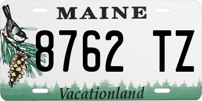 ME license plate 8762TZ