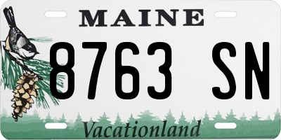 ME license plate 8763SN