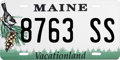 ME license plate 8763SS