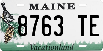 ME license plate 8763TE