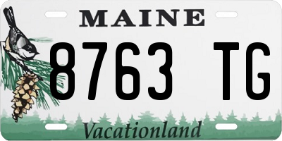 ME license plate 8763TG