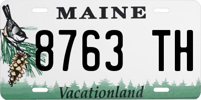 ME license plate 8763TH