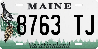 ME license plate 8763TJ