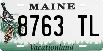 ME license plate 8763TL