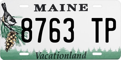ME license plate 8763TP