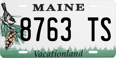 ME license plate 8763TS