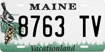 ME license plate 8763TV