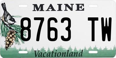ME license plate 8763TW