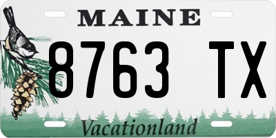 ME license plate 8763TX