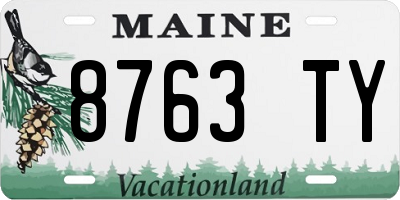 ME license plate 8763TY