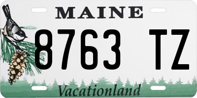 ME license plate 8763TZ