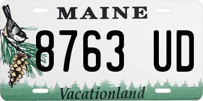 ME license plate 8763UD