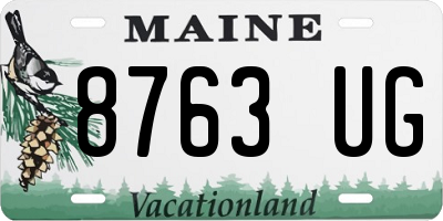 ME license plate 8763UG