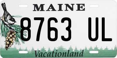 ME license plate 8763UL