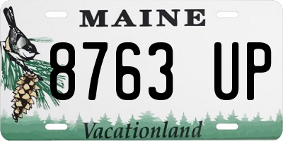 ME license plate 8763UP