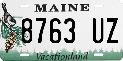 ME license plate 8763UZ