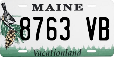 ME license plate 8763VB