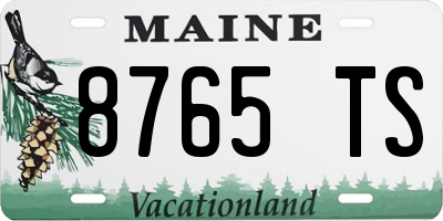 ME license plate 8765TS