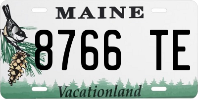ME license plate 8766TE
