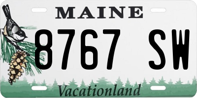 ME license plate 8767SW