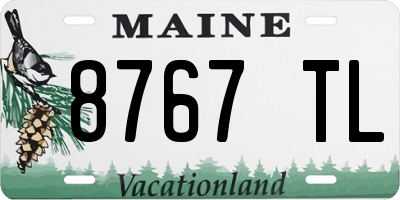 ME license plate 8767TL
