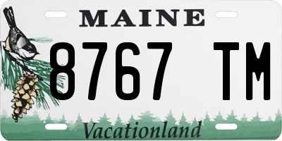 ME license plate 8767TM