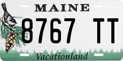 ME license plate 8767TT