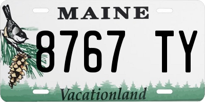 ME license plate 8767TY