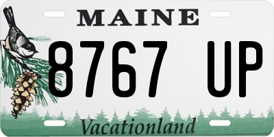ME license plate 8767UP