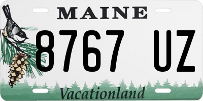 ME license plate 8767UZ