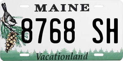 ME license plate 8768SH
