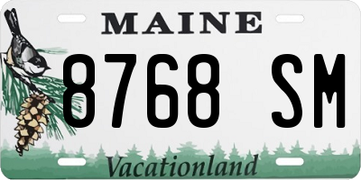 ME license plate 8768SM