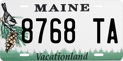 ME license plate 8768TA